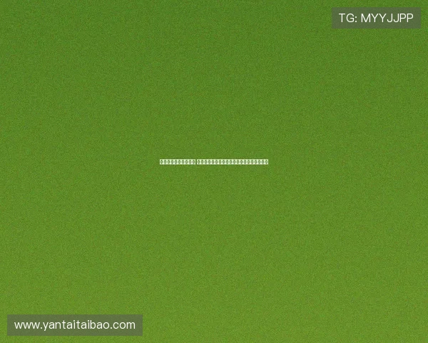 申花今日启程飞赴青岛 陈晋一等主力球员将直接抵达与全队顺利会合